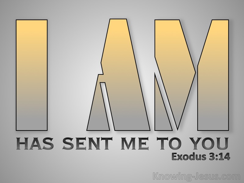 Exodus 3:14 God Said I AM That I AM (gray)